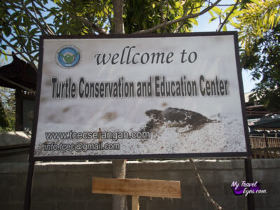 Conservatoire de tortues